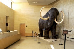 Ophorus Blog - Dordogne Prehistory Guide: Lascaux, Caves & Early Humanity (2026)