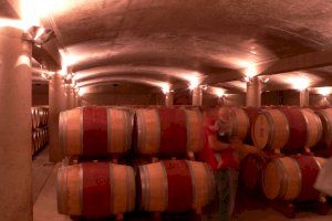 Ophorus Blog - Top 10 Best Bordeaux Winery & Wine Tasting Tours That Build the Perfect Vineyard Journey