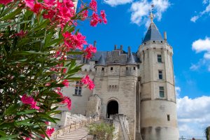 Ophorus Blog - Unforgettable Loire Valley: Must-See Châteaux, Charming Villages & Wine Tastings