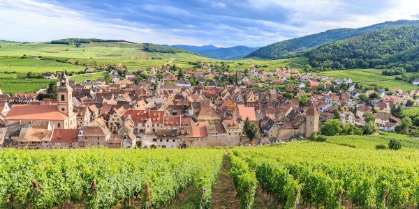 Ophorus Blog - The Alsace Wine Route : Celebrating 70 Years of Enchantment