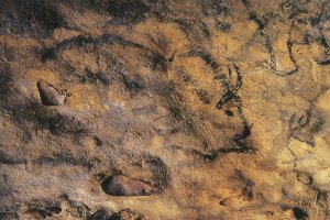 Ophorus Blog - Best Prehistoric Caves in Dordogne for an Immersive Experience