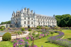 Ophorus Blog - Unforgettable Day Trips from Paris by Train: Explore France's Gems in a Day!