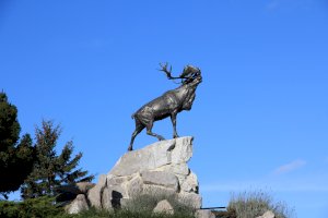 Ophorus Blog - History & Heritage Tours in France: From Ancient Times to World Wars