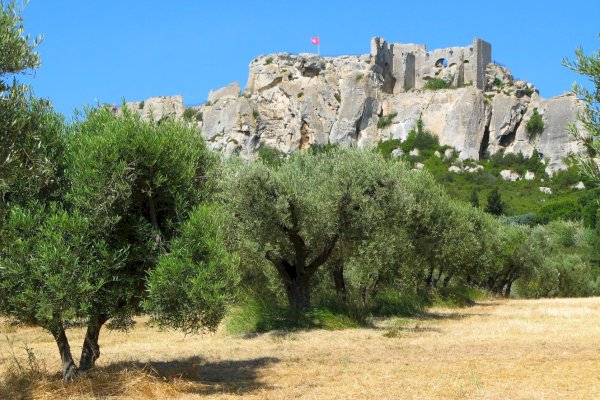 Ophorus Tours - Transfers from Les Baux-de-Provence