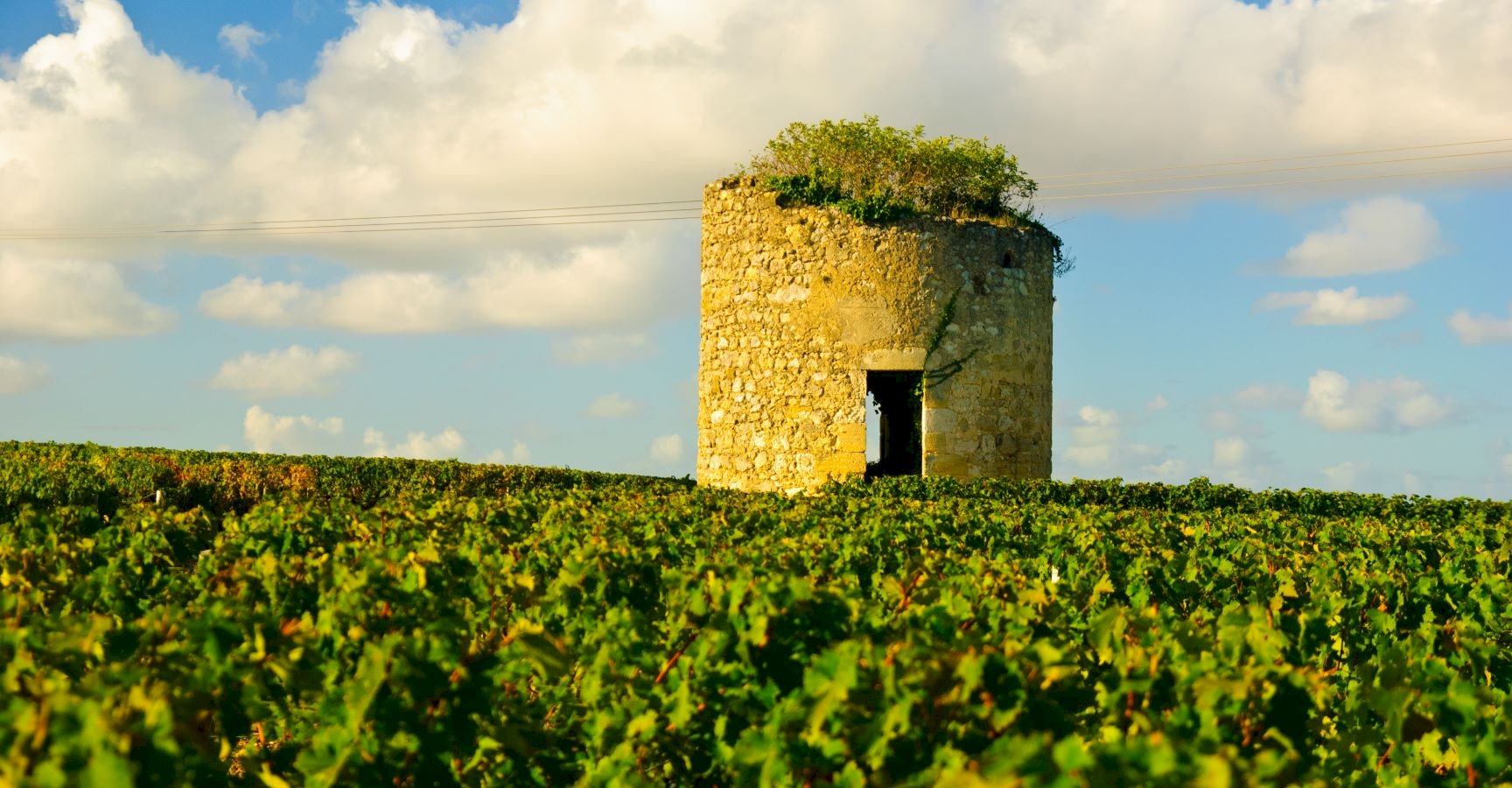 Ophorus Tours - Margaux-Cantenac