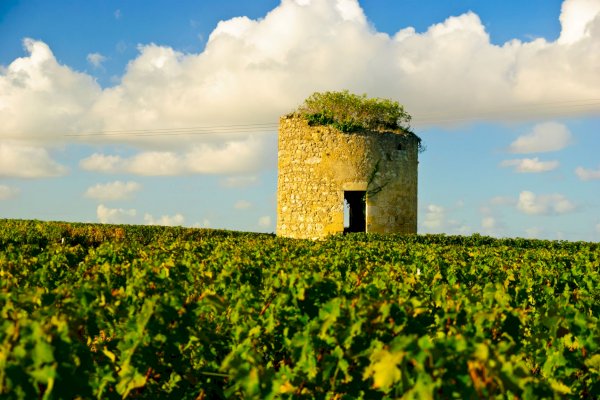 Ophorus Tours - Transfers from Pauillac