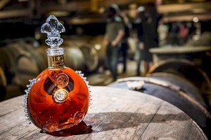 Ophorus Tours - REMY MARTIN COGNAC WINERY - INTRODUCTION TO LOUIS XIII