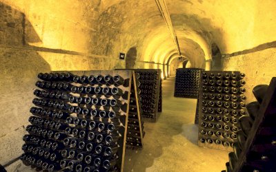 Ophorus Tours - WINES OF CHAMPAGNE, ALSACE & BURGUNDY 