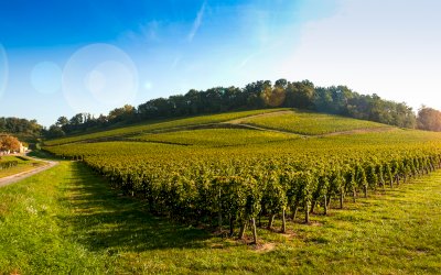 Ophorus Tours - BORDEAUX TO BARCELONA MULTI DAY TOUR