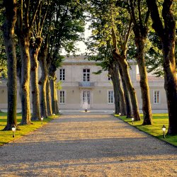 Ophorus Tours - Partner Château Haut Breton Larigaudiere