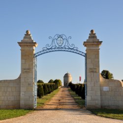 Ophorus Tours - Partner CHÂTEAU BALESTARD LA TONNELLE - GRAND CRU CLASSÉ
