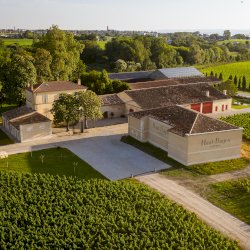 Ophorus Tours - Partner Château Haut-Bages Libéral - Grand Cru Classé 1855