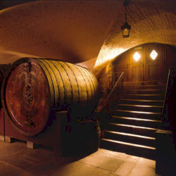 Ophorus Tours - Partner Historic Wine Cellar of Strasbourg Hospices