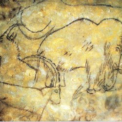 Ophorus Tours - Partner Rouffignac cave 