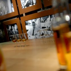 Ophorus Tours - Partner Camus