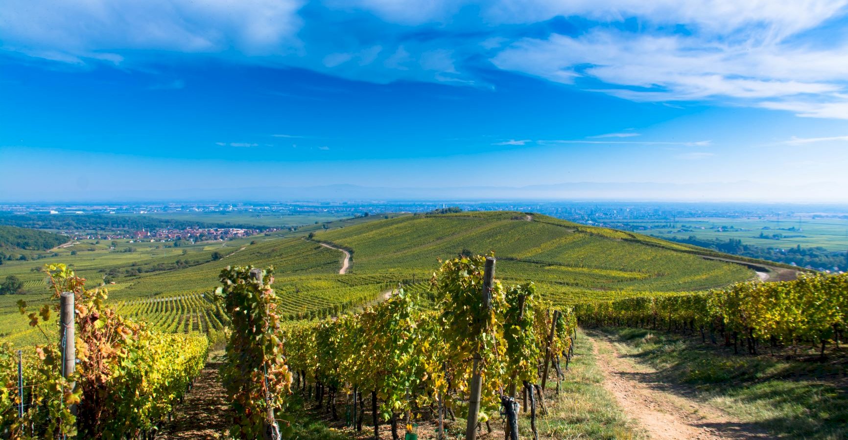 Ophorus Tours - Alsace & Burgundy Bliss: Private 8-Day Luxury Escape with Wine & Charm