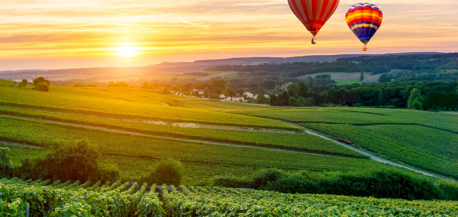 Ophorus Tours - Champagne Lover's Escape: 4-Day Small Group Package with Visits & Tastings