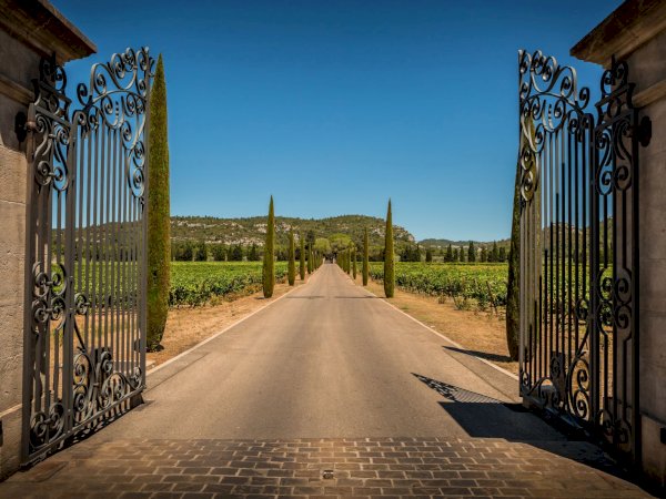 Ophorus Tours - Provence Wineries Await: Private Wine Tour from Marseille