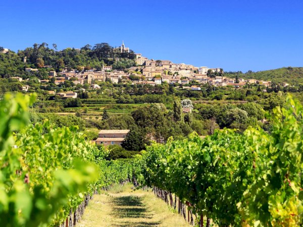 Ophorus Tours - Provence Wineries Await: Private Wine Tour from Marseille