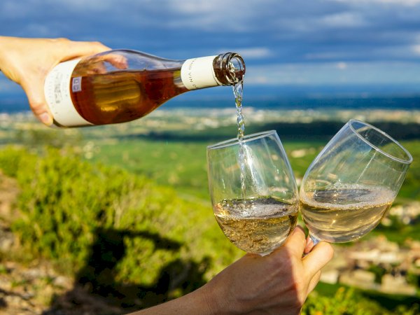 Ophorus Tours - Private Full-Day from Colmar : Exploring the Wines of France and Germany