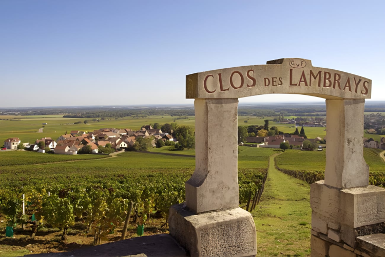 Ophorus Tours - Dijon Wine Tours: Côte de Nuits Half-Day Small Group Excursion