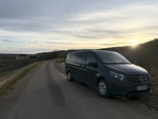 Ophorus Tours - Dijon Wine Tours: Côte de Nuits Half-Day Small Group Excursion