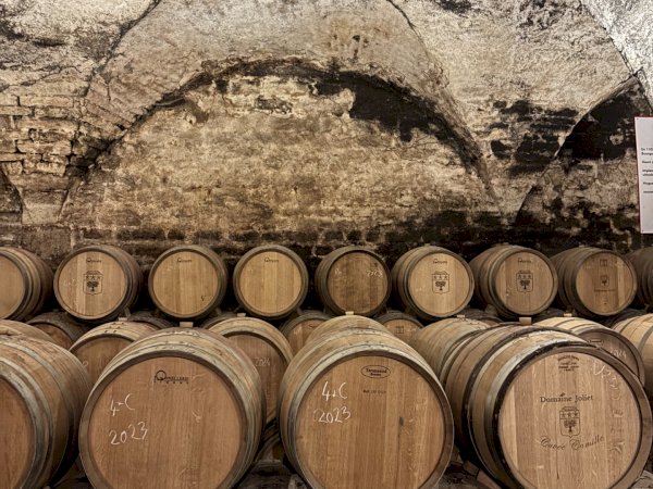 Ophorus Tours - Dijon Wine Tours: Côte de Nuits Half-Day Small Group Excursion