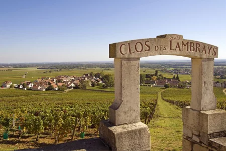 Dijon Wine Tours: Côte de Nuits Half-Day Small Group Excursion