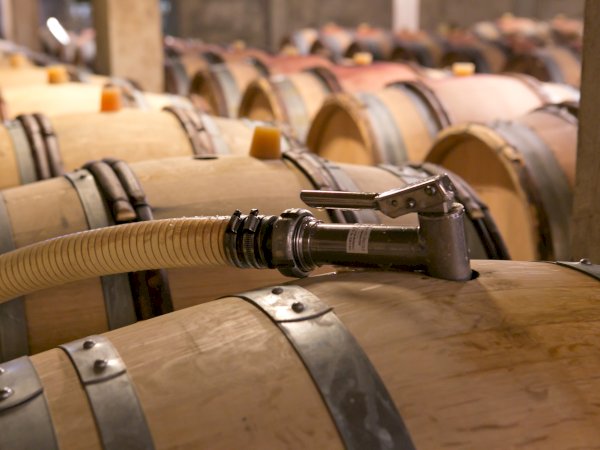 Ophorus Tours - Dijon Wine Tour: Côte de Nuits & Côte de Beaune Vineyards