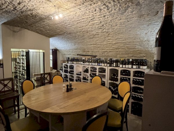 Ophorus Tours - Dijon Wine Tour: Côte de Nuits & Côte de Beaune Vineyards