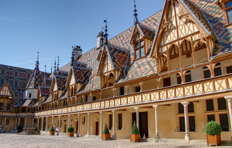 Ophorus Tours - Burgundy Wine Tour Full Day Côte de Beaune & Côte de Nuits