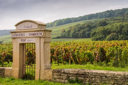 Burgundy Wine Tour Full Day Côte de Beaune & Côte de Nuits