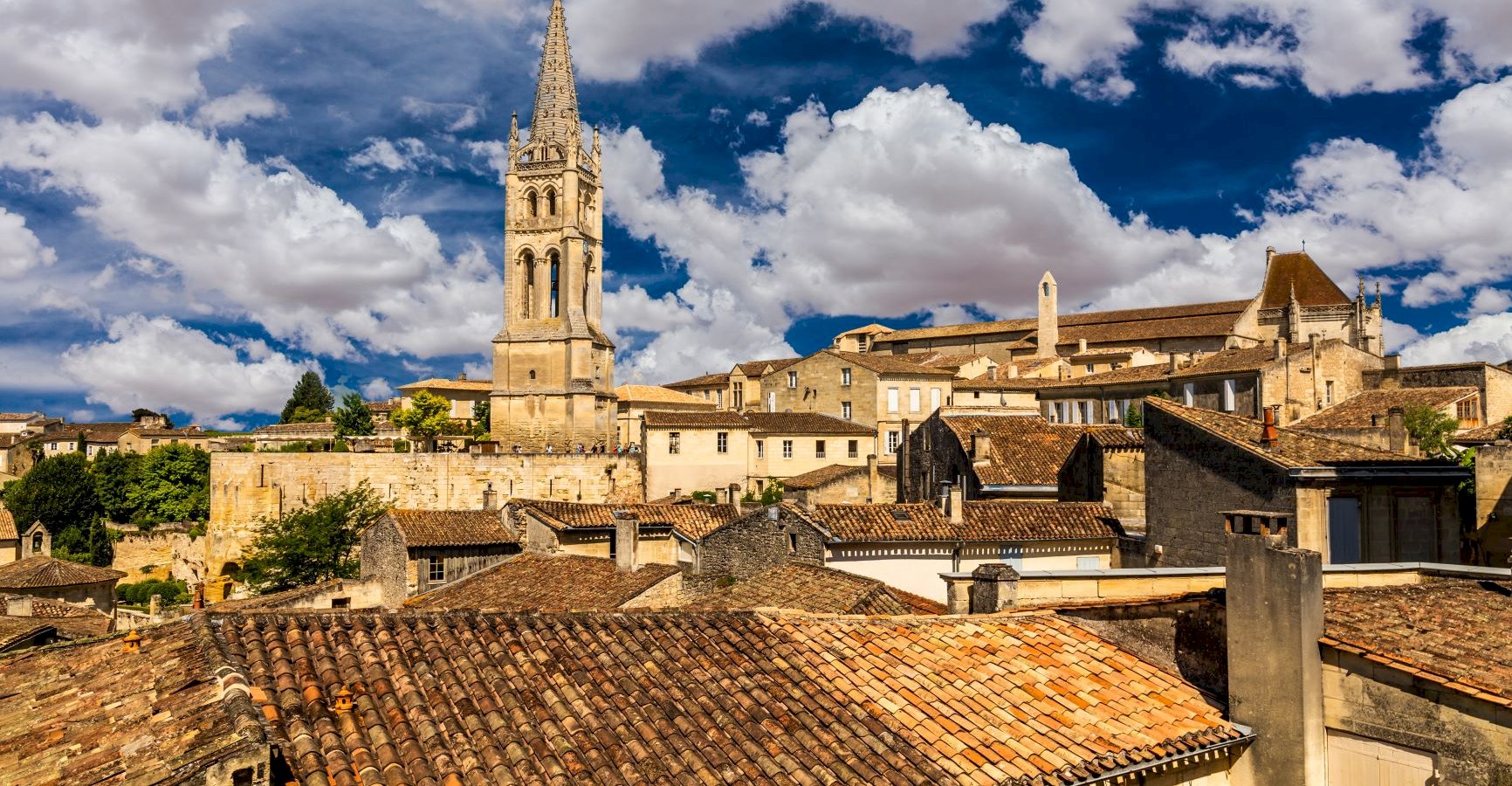 Ophorus Tours - Bordeaux to Saint-Emilion: Private Wine Tastings & Monuments Tour