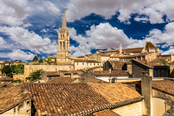 Ophorus Tours - Bordeaux to Saint-Emilion: Private Wine Tastings & Monuments Tour