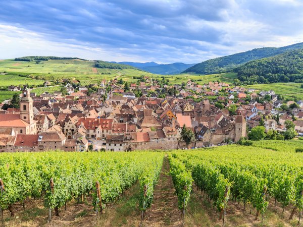 Ophorus Tours - Alsace Grand Crus: Private Wine Tour from Riquewihr