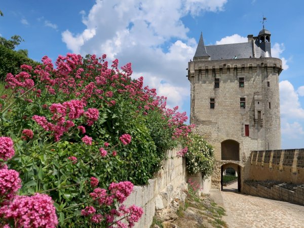 Ophorus Tours - 4-Day Small Group Tours Loire Valley Package - 3* Hotel