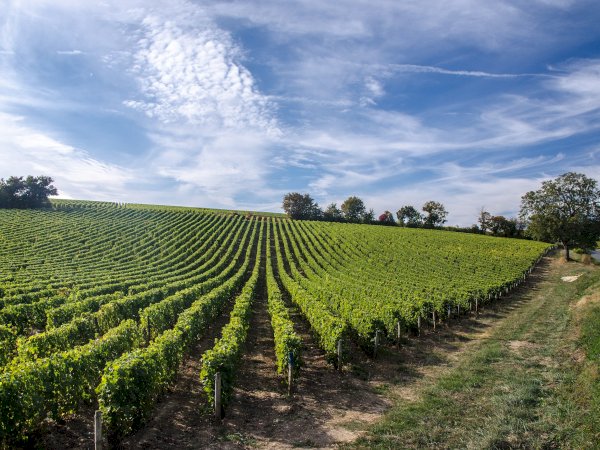 Ophorus Tours - 4-Day Small Group Tours Loire Valley Package - 3* Hotel