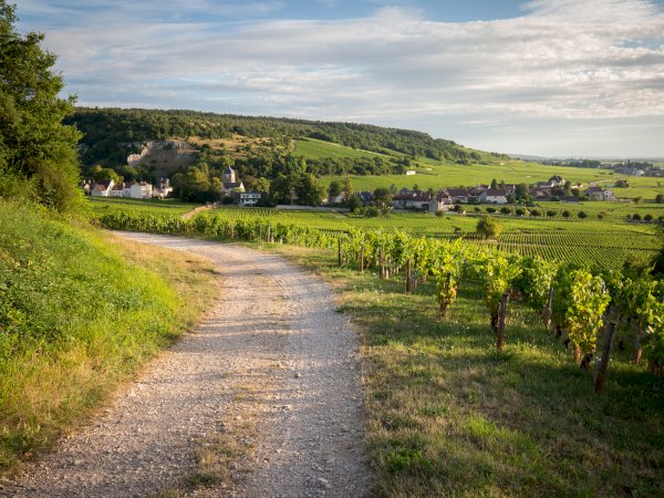 Ophorus Tours - Côte de Nuits & Côte de Beaune Vineyards: Private Wine Tour from Beaune