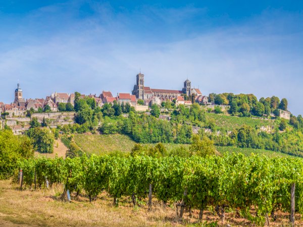 Ophorus Tours - 4-Day Private Burgundy Wine Tour Package - Dijon - 3* Hotel