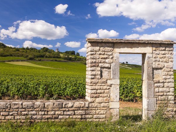 Ophorus Tours - 4-Day Private Burgundy Wine Tour Package - Dijon - 3* Hotel