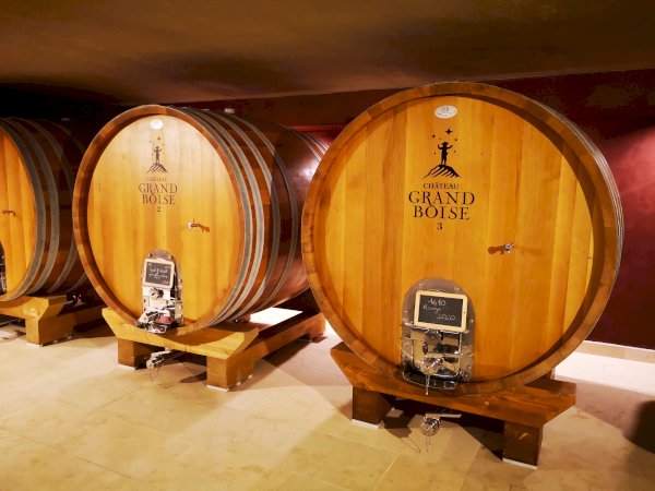 Ophorus Tours - From Toulon Port Provence Wine Tour shore excursion private