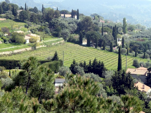 Ophorus Tours - From Toulon Port Provence Wine Tour shore excursion private