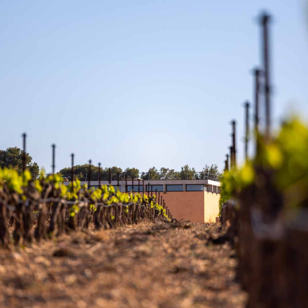 Ophorus Tours - Perfect Shore Trip: Provence Wine Tour from Marseille Cruise Port
