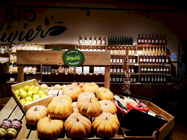 Ophorus Tours - Perfect Shore Trip: Provence Wine Tour from Marseille Cruise Port