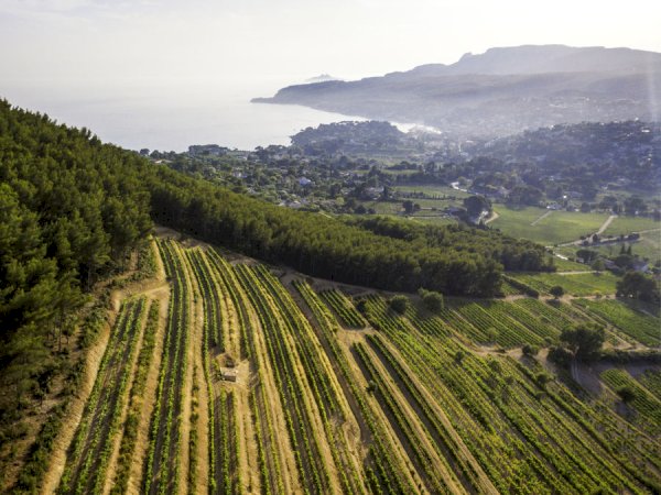 Ophorus Tours - Perfect Shore Trip: Provence Wine Tour from Marseille Cruise Port