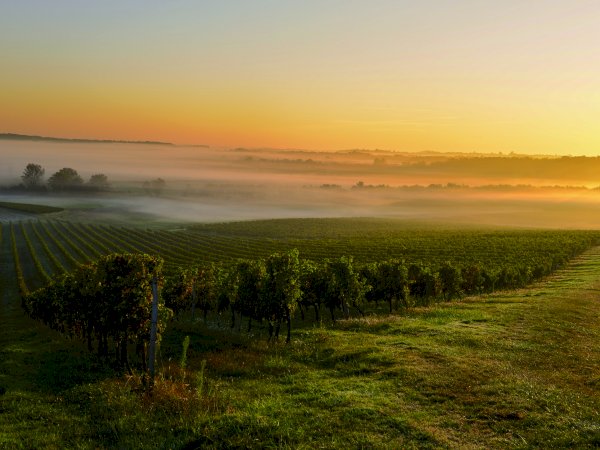 Ophorus Tours - 8-Day Private Bordeaux & Dordogne Package - 4* Hotel