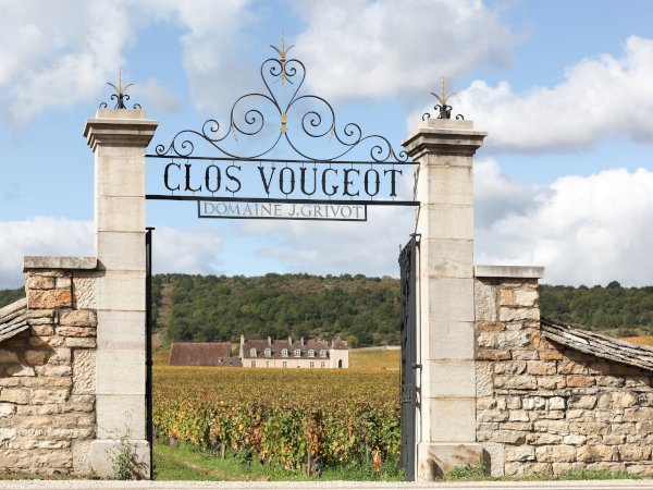 Ophorus Tours - 4-Day Small Group Burgundy Package - Dijon - 5* Hotel