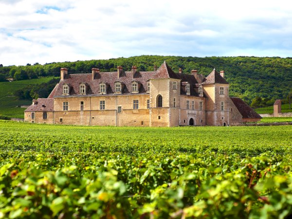 Ophorus Tours - 4-Day Small Group Burgundy Package - Dijon - 5* Hotel