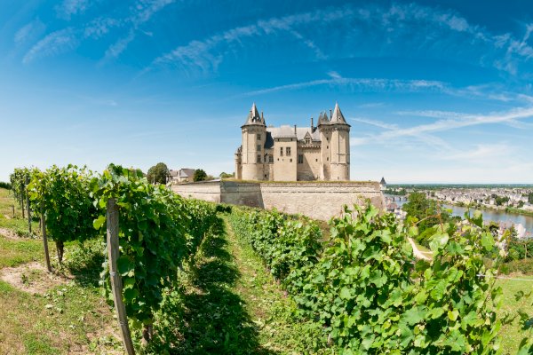 Ophorus Tours - 4-Day Small Group Tours Loire Valley Package - 5* Hotel