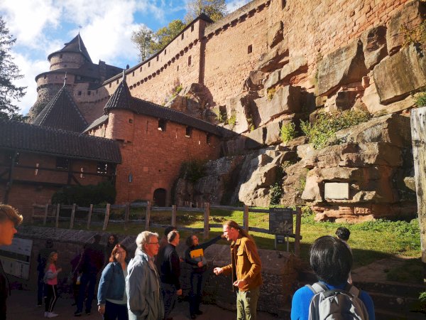 Ophorus Tours - 4-Day Small Group Alsace Packages - Colmar - 4* Hotel